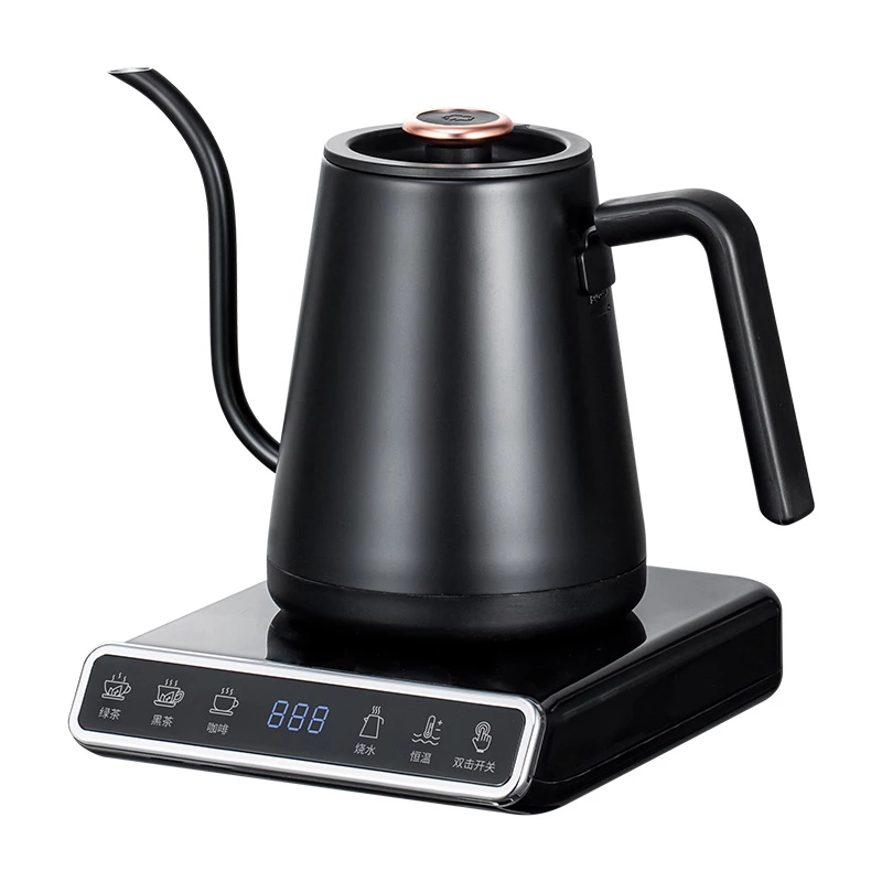 Electric gooseneck kettle with variable temperature control